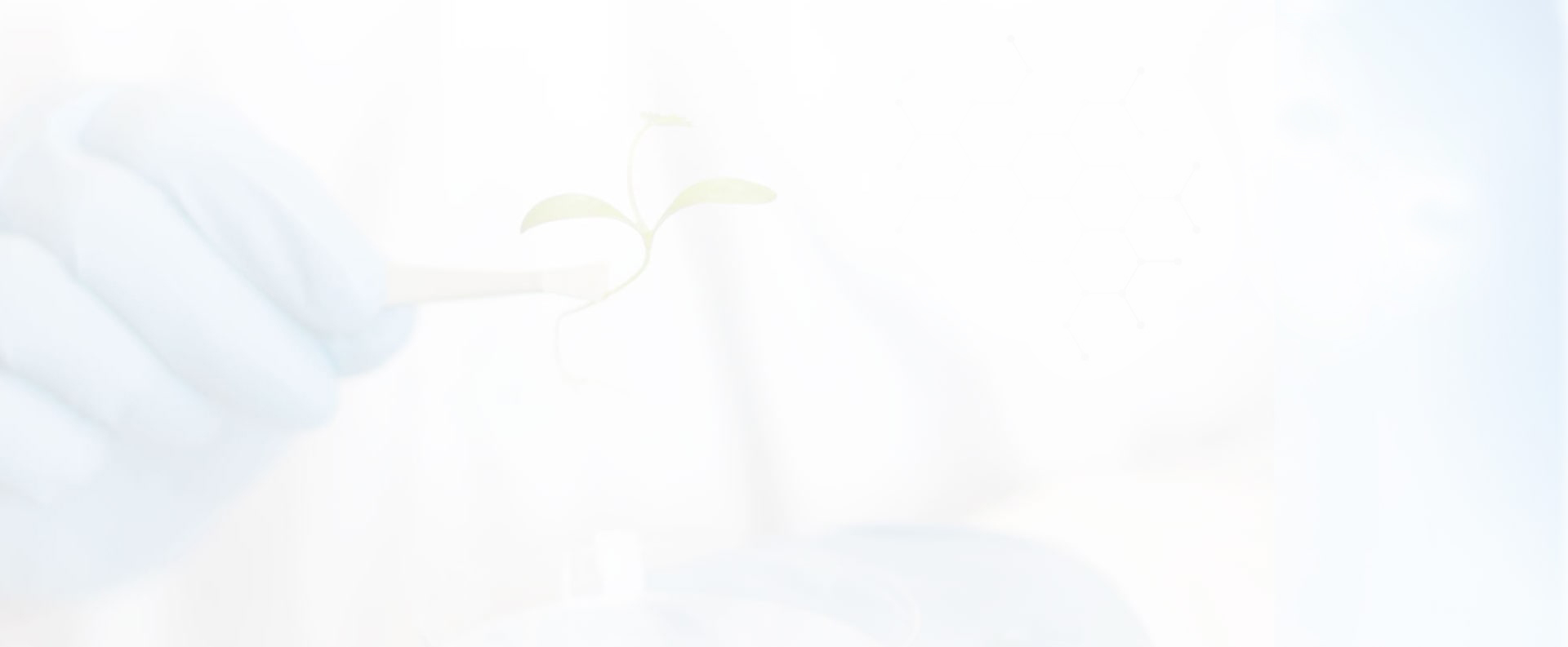 高檔茶室/工藝品展柜